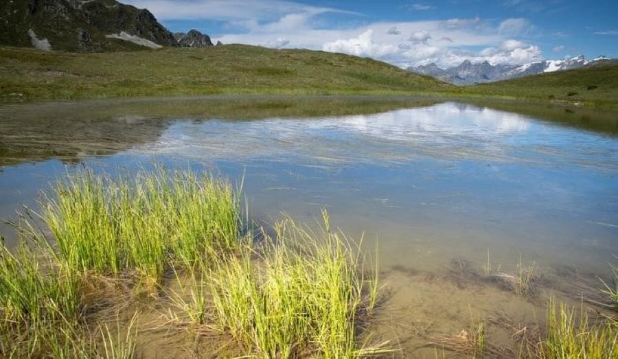 Image: Weatland in the Alps (s. terrestrial carbon, climate)