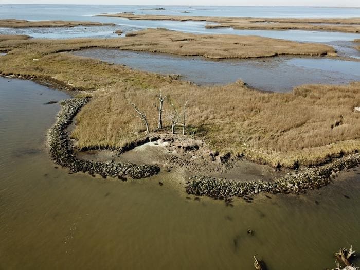 Climate Science Digest: April 15, 2025 Image: Adams Bay (s. science, climate, research)