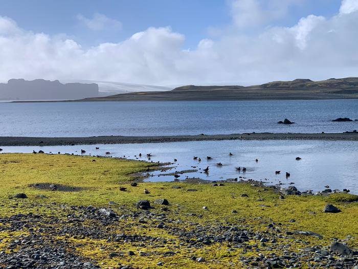 Climate Science Digest: April 29, 2025 Image: The Antarctic Peninsula (s. science, climate, Muser)
