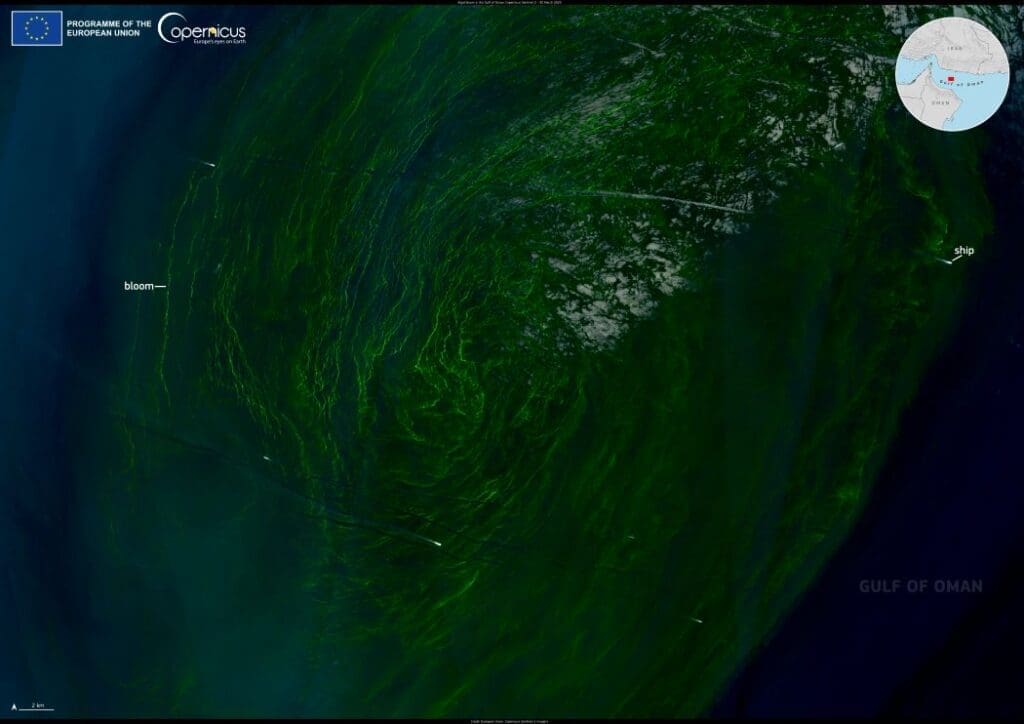 Image of the day: Glowing green algal bloom in the Gulf of Oman Satellite Image: Algal bloom in the Gulf of Oman