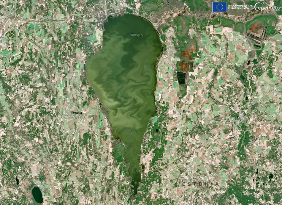 Satellite Image: Lake Võrtsjärv, Estonia