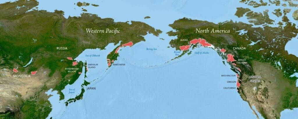Image: Map of salmon 'strongholds'