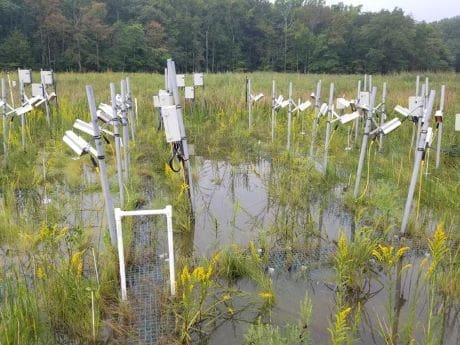 Image: SMARTX C4 Site Floods