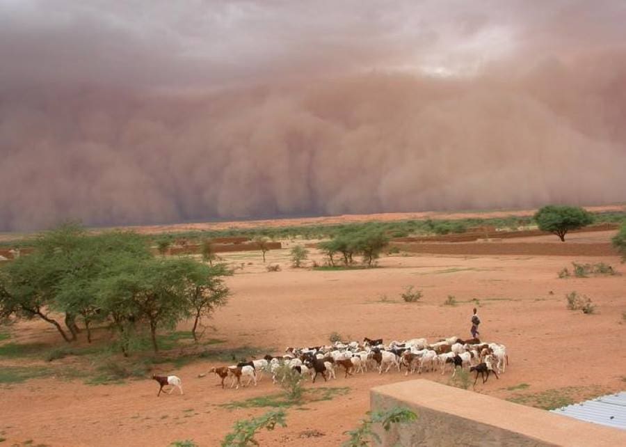 Image: Dust storm  (s. science, climate, Muser)