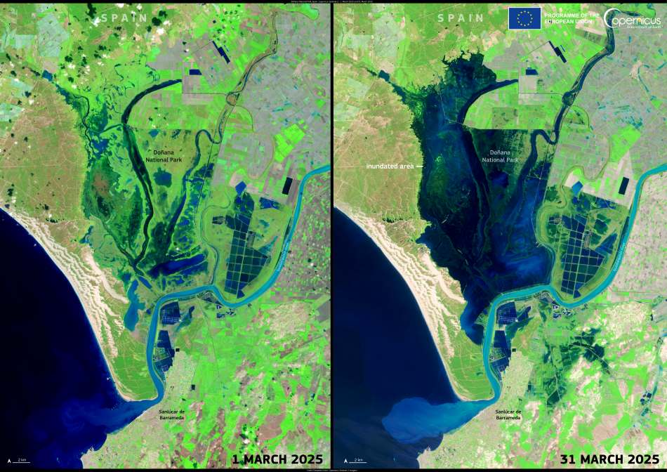 Satellite Images: Doñana National Park, Spain