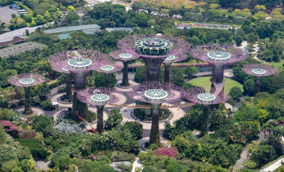 Image: Aerial view of the famous Supertree Grove in Singapore 