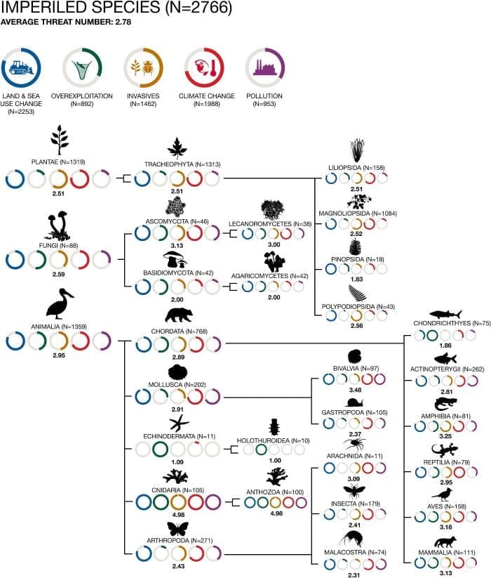 Image: Imperiled Species (s. science, climate, Muser)