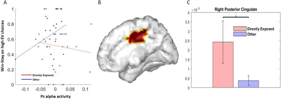 Wildfire trauma may impair long-term decision-making, study shows Image: Climate trauma from wildfire exposure impacts cognitive decision-making