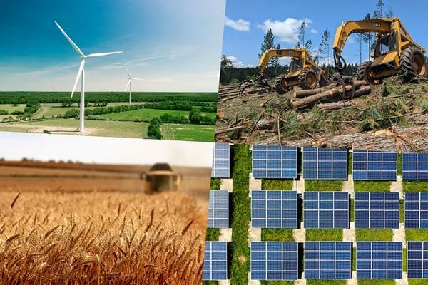 Image: Biomass, wind power and solar energy (collage)