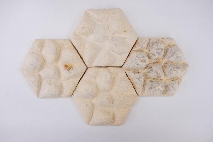 Image: Tiles (s. science, Muser)