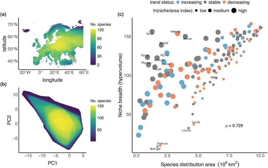 Birds with narrow climate tolerance more likely to decline across Europe Image: European Breeding Bird Declines Associated With Narrower Climatic Niches (s. climate change, Europe)