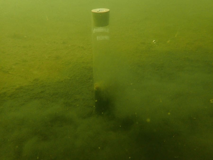 Image: sediment samples