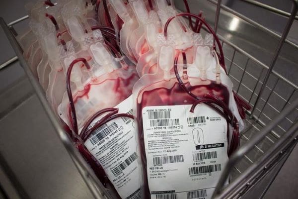 Image: Bags of blood emergency blood type