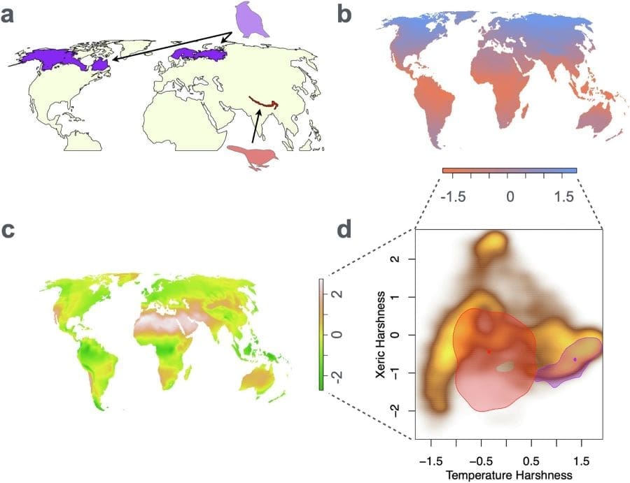 Image: Mapping geographic ranges of birds onto climate space (s. climate change)