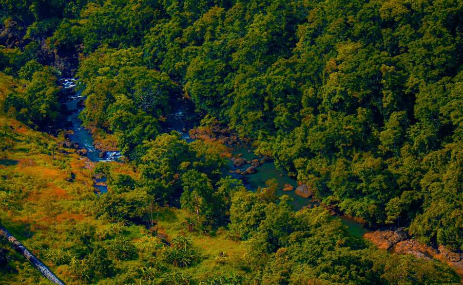 Image: A river running through a lush green forest (aerial view in Sogeri, Papua New Guinea)