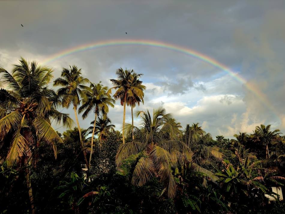 Rainfall patterns found to trigger deadly humid heatwaves in tropics Image: Tropical Rainbow Over Palm Trees Landscape