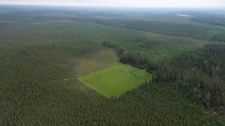Image: Well pad vegetation established