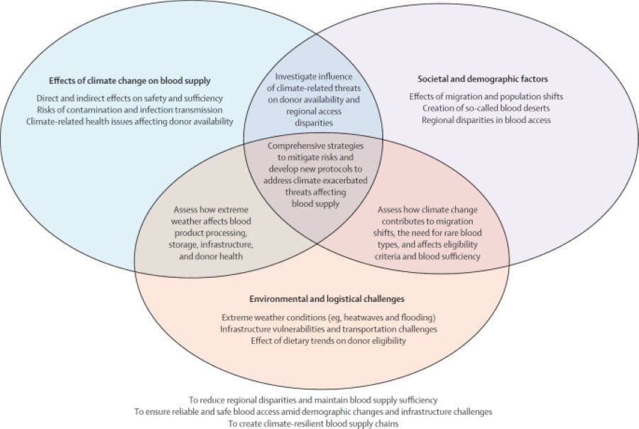 Image: Roadmap for addressing knowledge gaps of climate change's effect on blood safety and blood supply in future research 