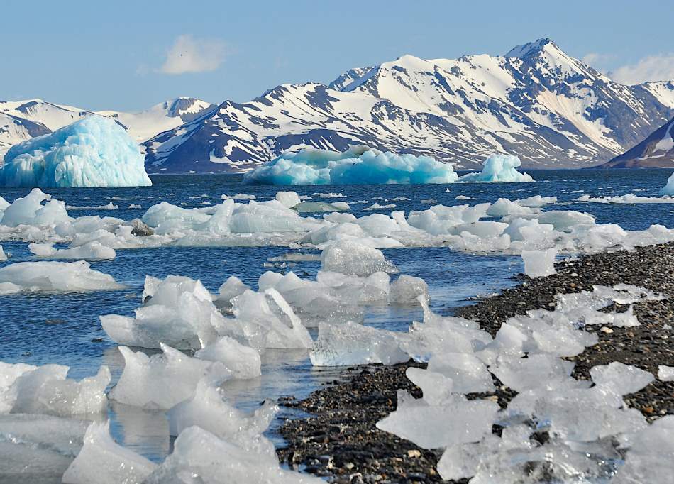 Impact of 'cryosphere meltdown' on Arctic marine carbon cycles and ecosystems Image: a group of icebergs floating on top of a body of water (s. Svalbard and Jan Mayen)
