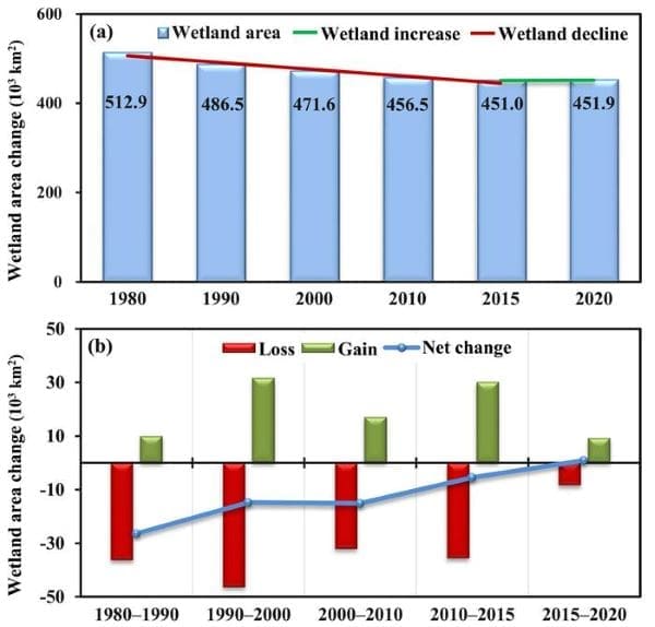 Image: Changes in the extent of Chinese wetlands from 1980 to 2020