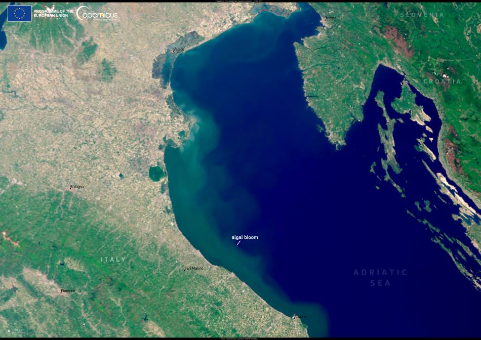 Satellite Image: Algal bloom in the Adriatic Sea