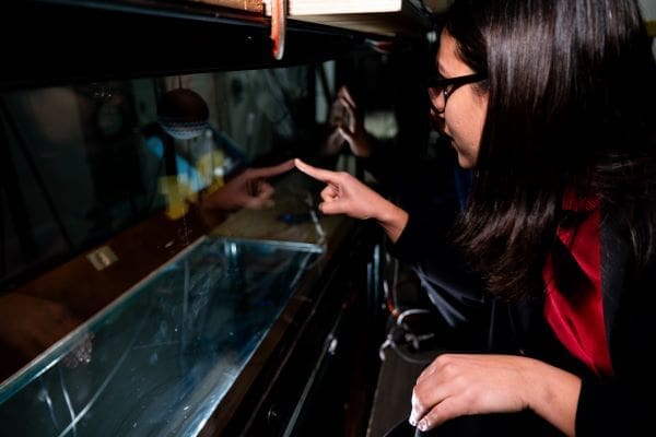 Image:  A profile view of a woman pointing with her right hand at the outside of a long, glass box. Within the box, is a softball-sized (s. smart vehicle)