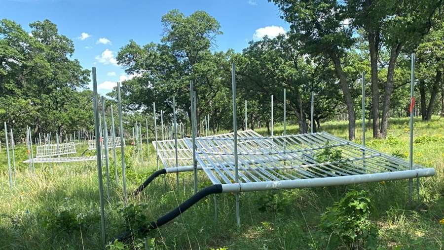 Image: Cedar Creek Long Term Ecological Research Site 