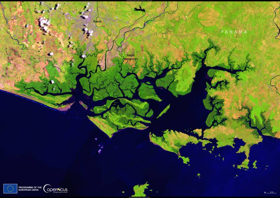 Satellite Image: David Mangroves, Panama