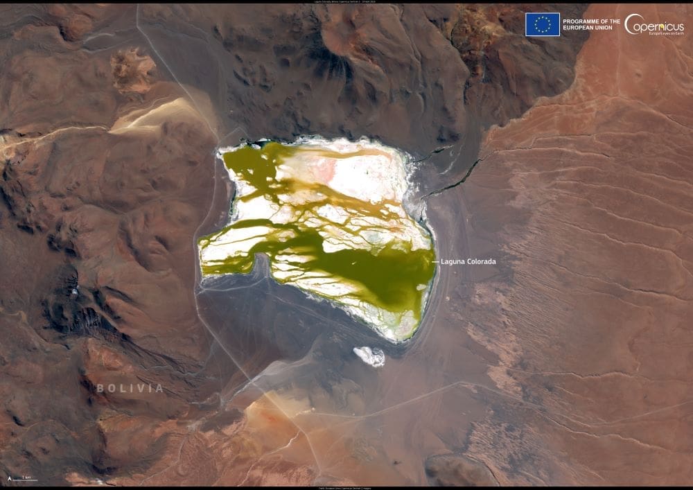Image of the day: Flamingo haven in the Bolivian highlands Satellite Image: Laguna Colorada, Bolivia