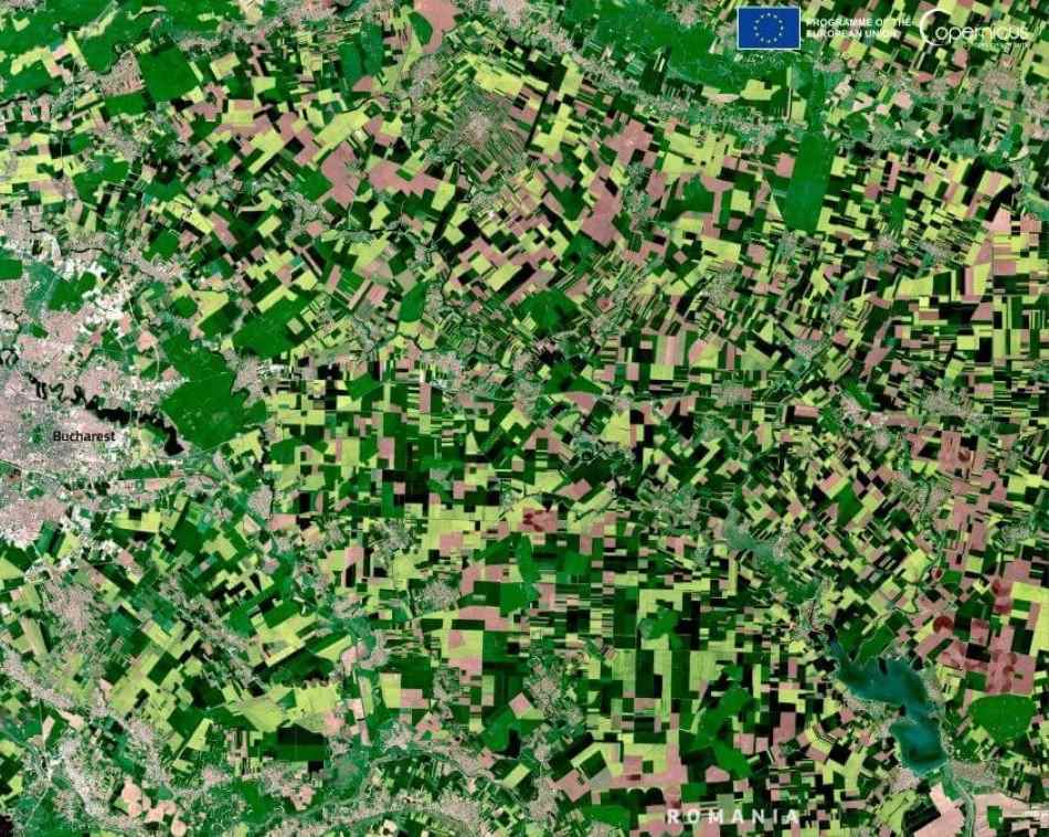 Image of the day: Rapeseed fields in bloom color Romania’s spring landscape Satellite Image: Agricultural landscape, Romania