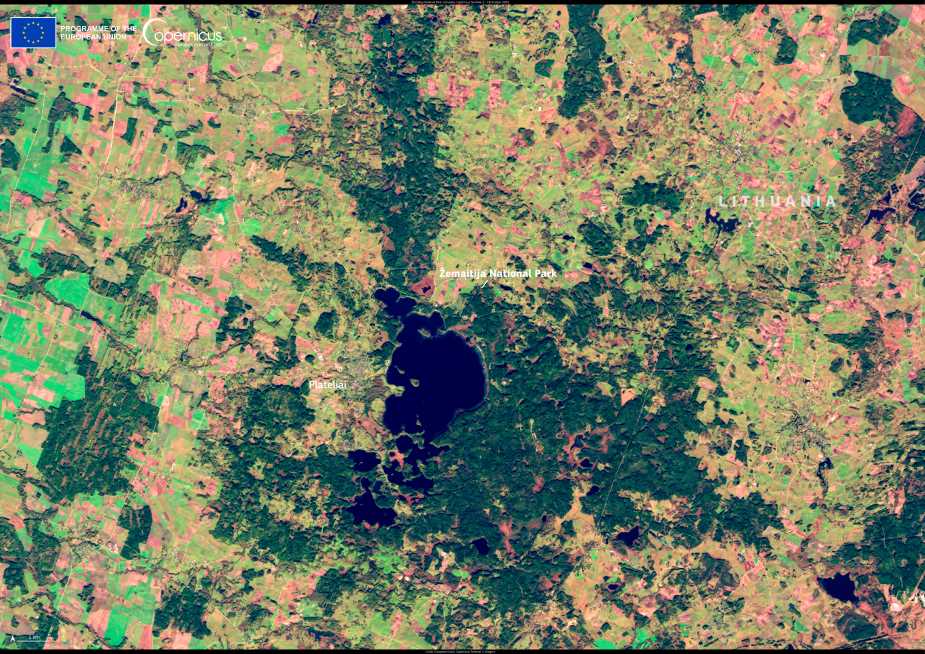 Satellite Image: Žemaitija National Park, Lithuania