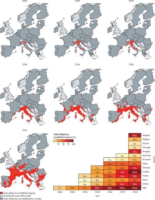 Dengue, chikungunya may soon be endemic in Europe: research Image: Spatial and temporal expansion of Aedes albopictus establishment in EU regions, 1990–2024 (s. dengue, endemic, climate)
