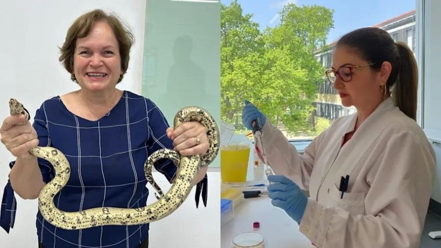 Image: (Right) Prof Eliane Candiani Arantes and  Prof Manuela Berto Pucca