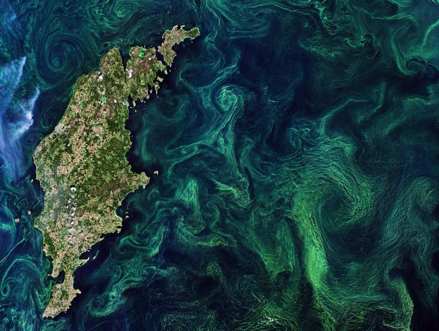 Satellite Image: Bright swirling blooms of algae and cyanobacteria are seen in the Baltic Sea near the Swedish island of Gotland in July 2019 