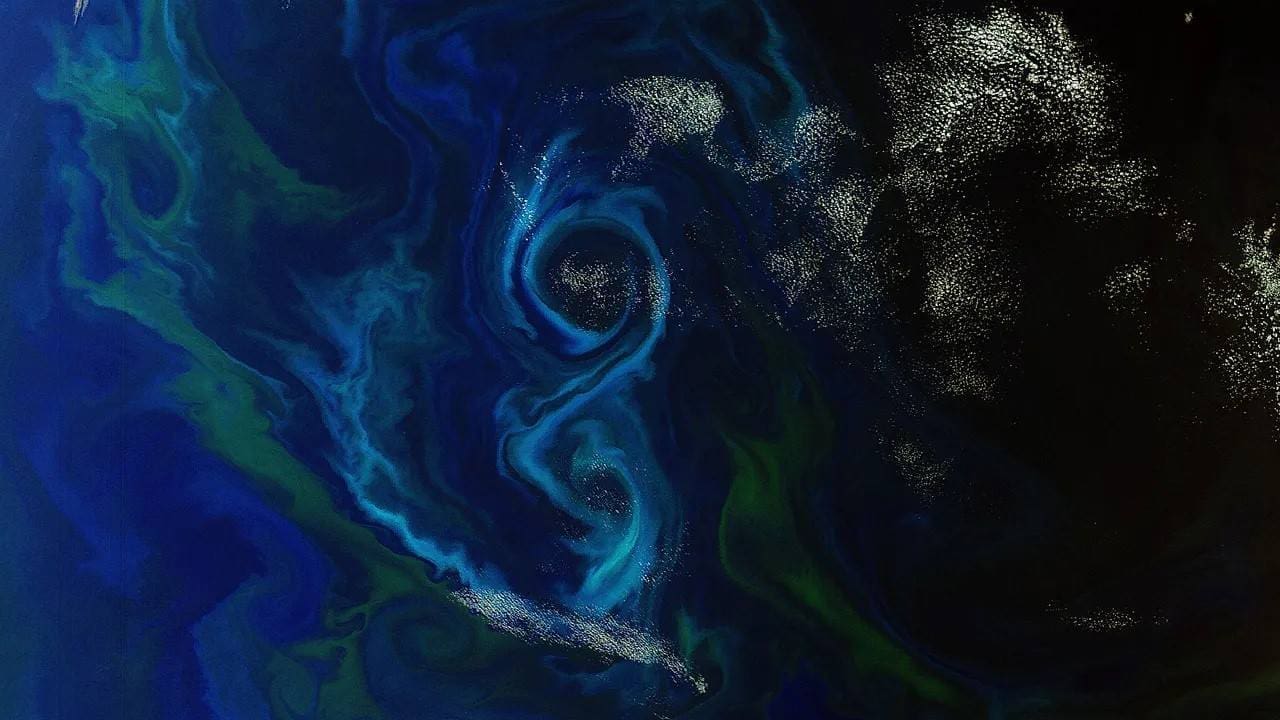 Marine plankton show hidden strategies for climate adaptation