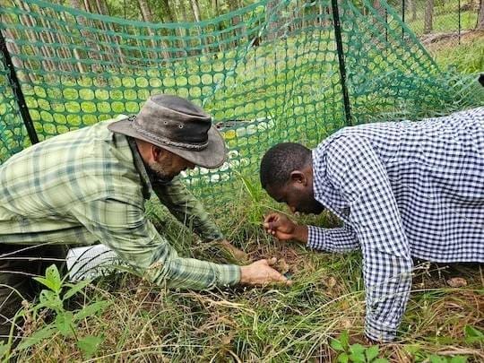 Climate Science Digest: May 21, 2025 Image: Tom Miller and Jacob Moutouama, Rice University (s. research, climate)