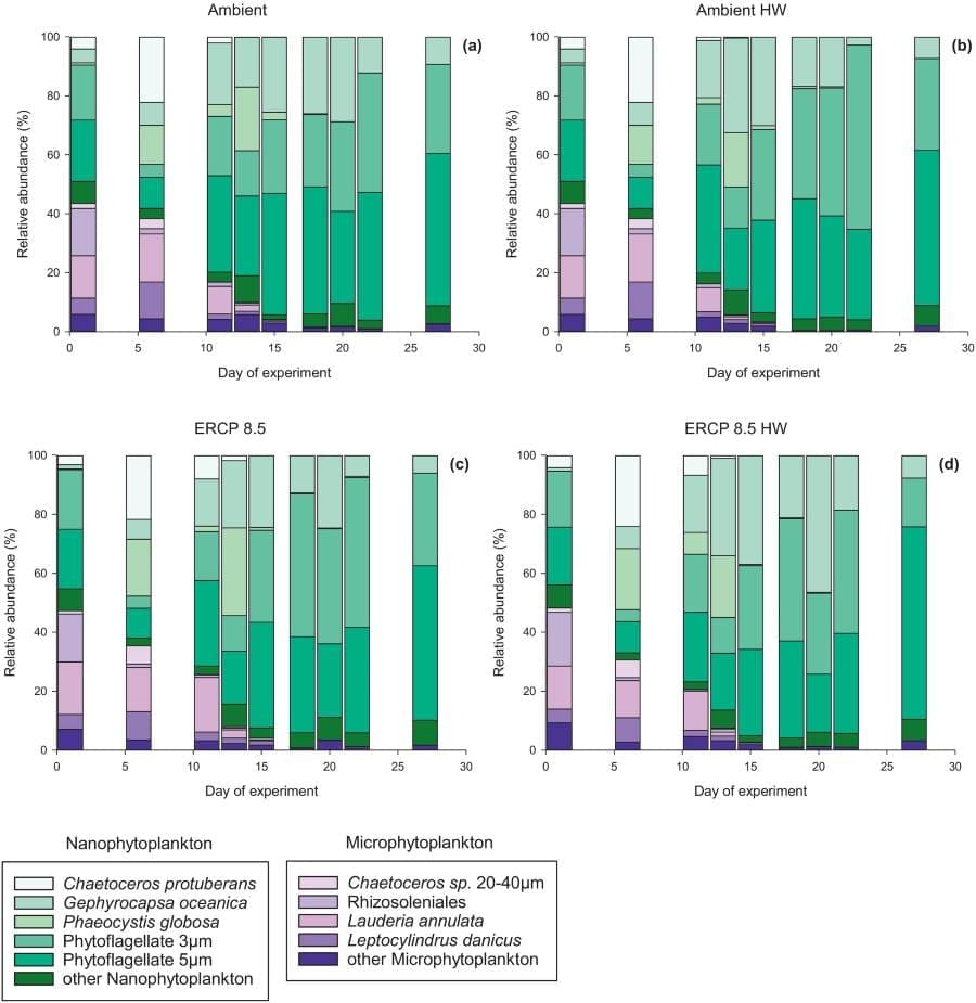 Marine heatwaves amplify climate stress on North Sea plankton Image: Phytoplankton community composition in the mesocosms throughout the experiment