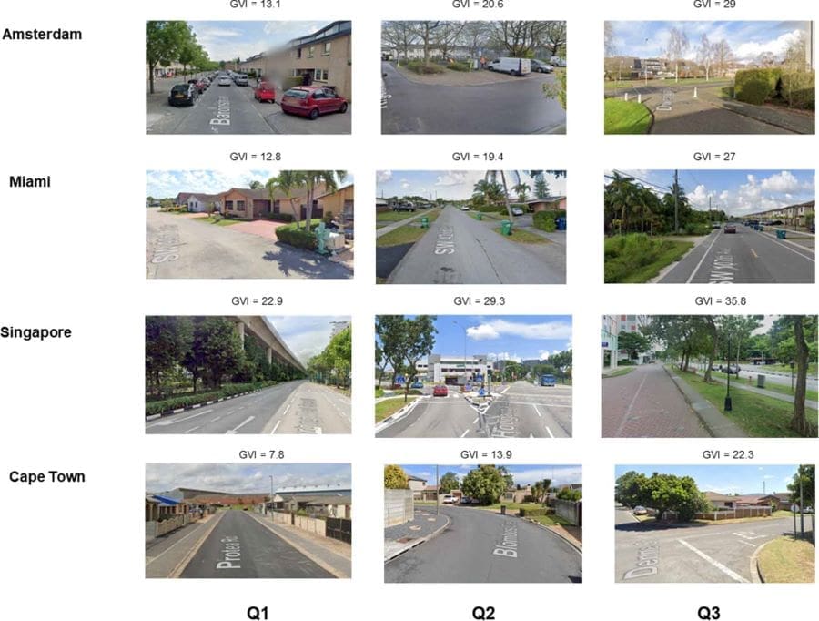 Image: Illustrative examples of different levels of SGS and its correspondence to GVI values in four selected cities (s. street greenery)