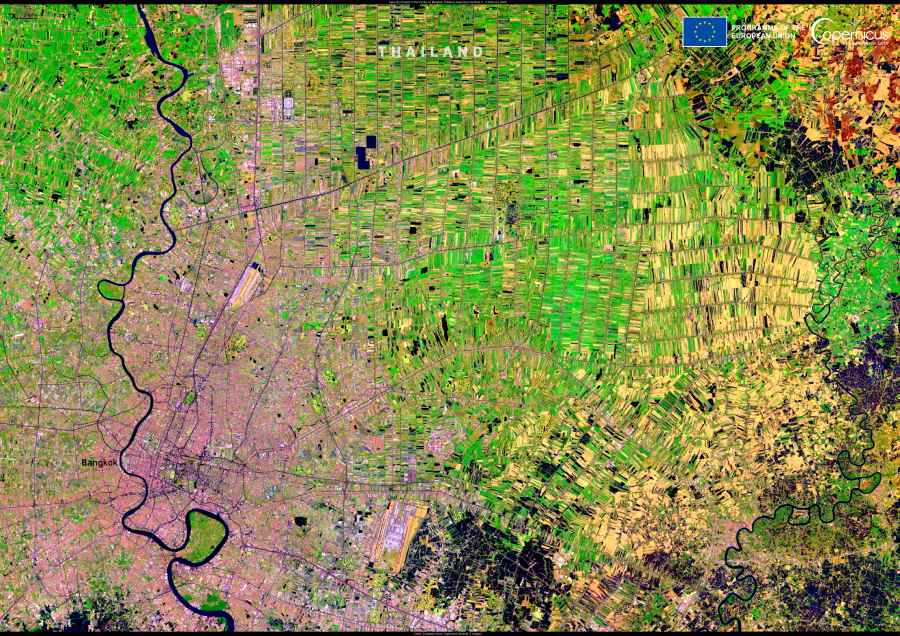 Image of the day: Farmland and cityscapes converge around Bangkok Satellite Image: Bangkok, Thailand
