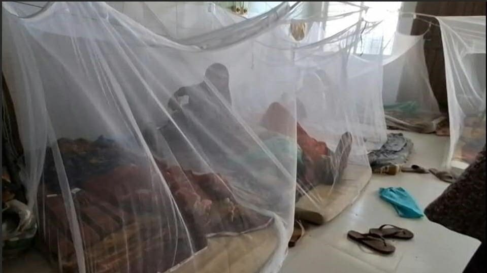 Deadly dengue fever impacts climate-hit Bangladesh coast Image: patients with dengue fever in Bangladesh