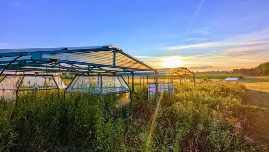Image: Open top chambers (s. climate change, plant response to warming)