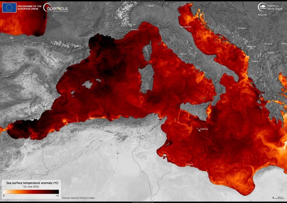 Image of the day: Marine heatwave intensifies in western Mediterranean Image: marine heatwave is ongoing in the Mediterranean Sea