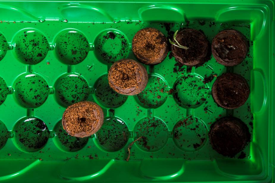Image: Still life with gardening concept (s. soil, bacteria, climate change)