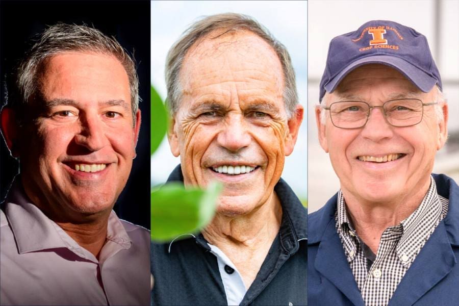 Making crops heat-resilient is possible, but costly and time-consuming Image: Carl Bernacchi, Stephen Long and Donald Ort