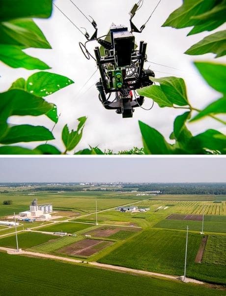 Making crops heat-resilient is possible, but costly and time-consuming Image: overhead dolly | crops