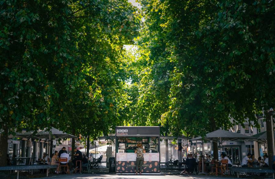 Image: A group of people sitting at tables under trees (s. cooling cities)