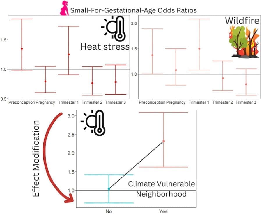 Climate Science Digest: June 23, 2025 Image: abstract