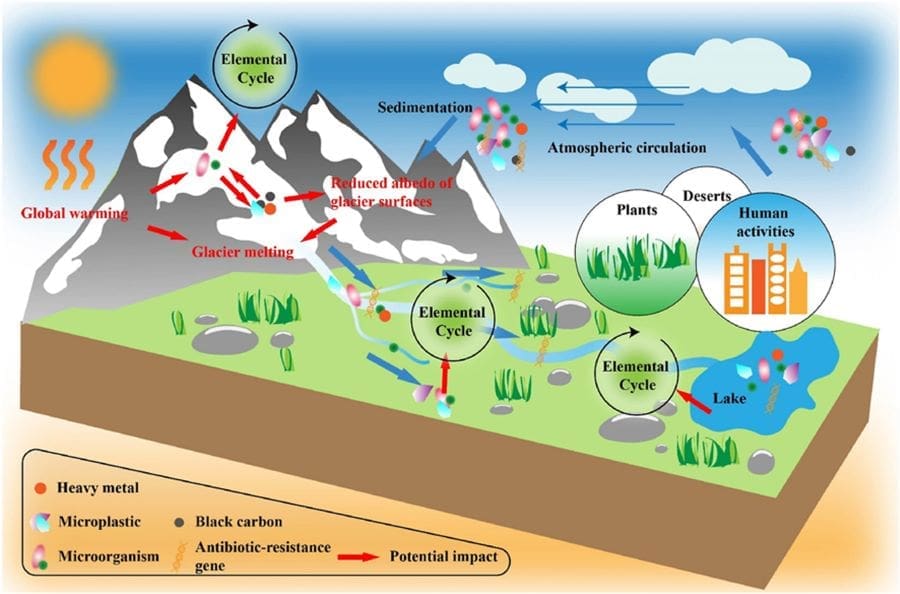 Image: Graphical abstract