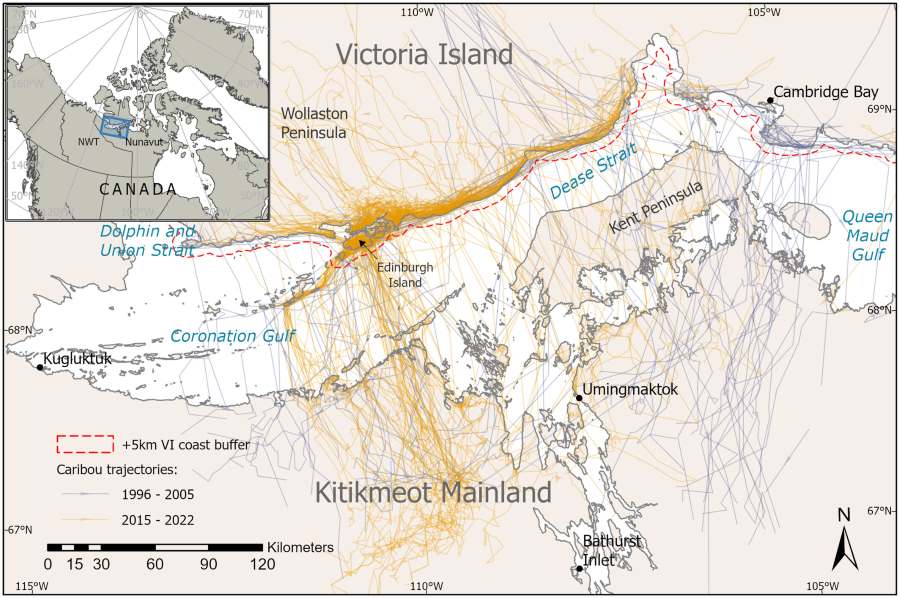 Image: Map showing study region and autumn migration routes recorded for mature female DU caribou between 15 October and 15 December, as the caribou migrate south from Victoria Island to the Kitikmeot mainland