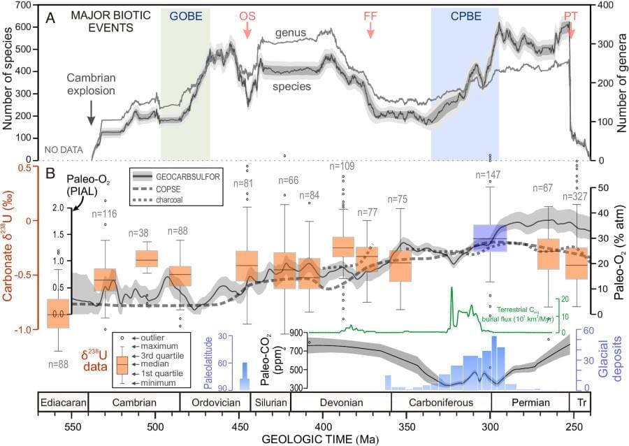 Image: Graphic - Paleozoic marine biodiversity, atmospheric composition, and seafloor oxygenation history (s. ocean anoxia)